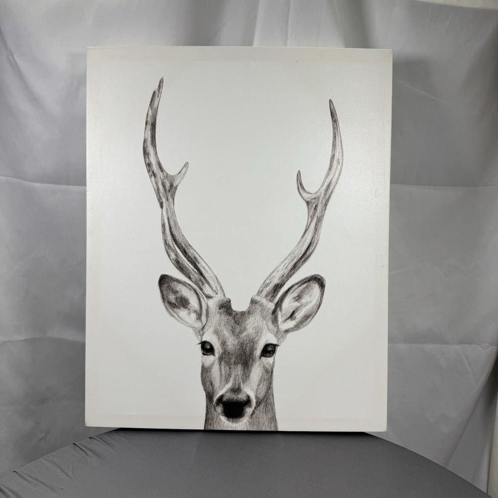 Stupell Industries Deer Antler Drawing On White Canvas